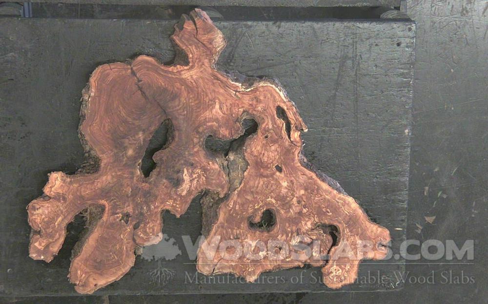 Olivewood Wood Slab #8FX-WSO-YVNI