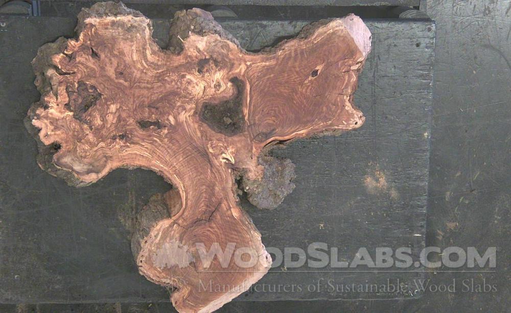 Olivewood Wood Slab #PU3-0EE-KHK8