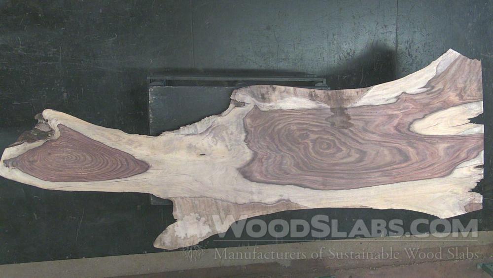 Indian Rosewood Wood Slab #TX8-NTF-592I