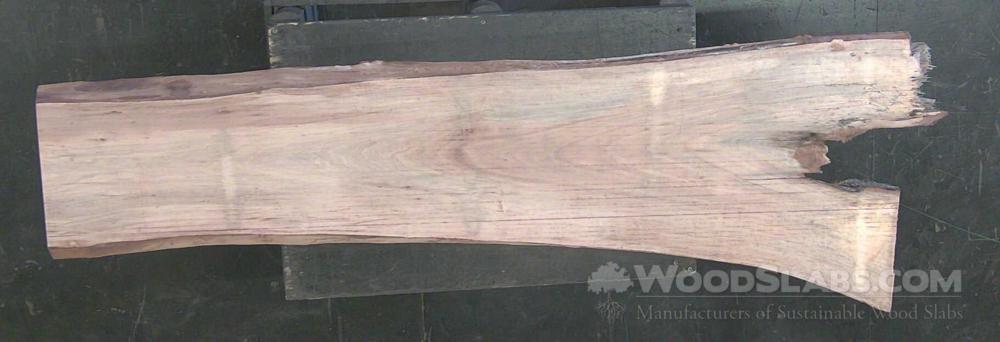 Sycamore Wood Slab #V1W-K6A-FOK7
