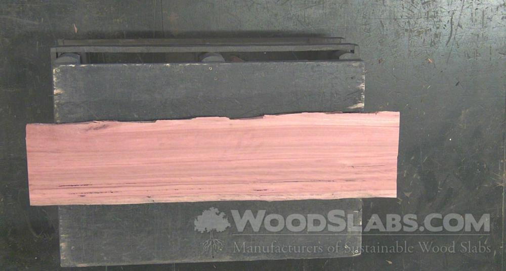 Eucalyptus Wood Slab #7T5-HKC-MG8U