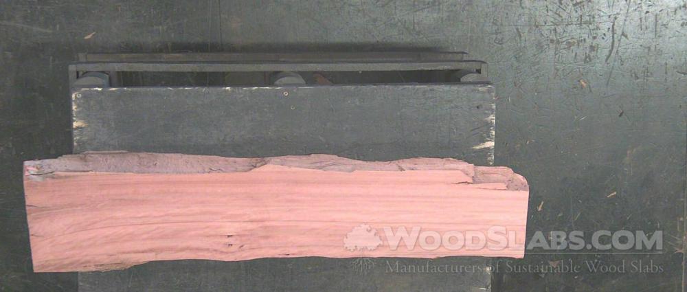Eucalyptus Wood Slab #4FF-49V-Q2ID