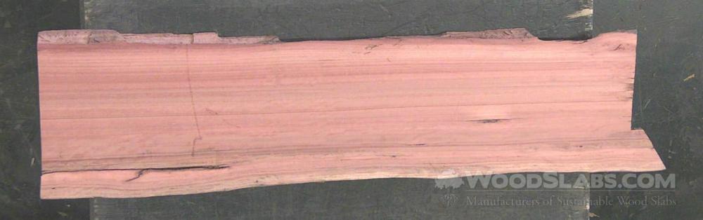 Eucalyptus Wood Slab #VP1-IB2-ZSP3