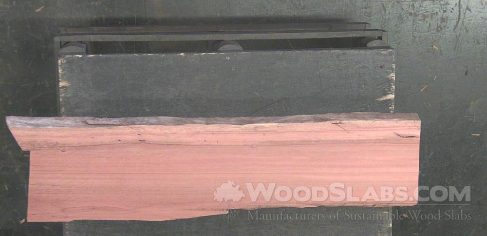 Eucalyptus Wood Slab #UMR-CX8-ENL9