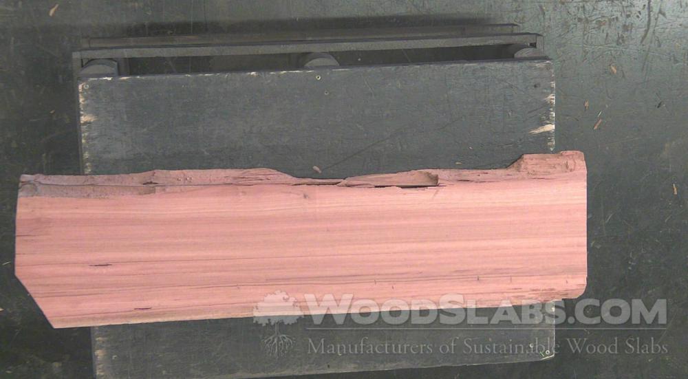 Eucalyptus Wood Slab #9X7-K9O-2HT5