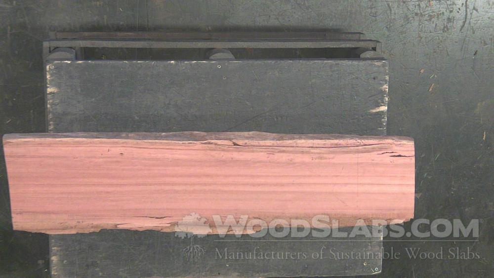Eucalyptus Wood Slab #ROR-44O-6GUC