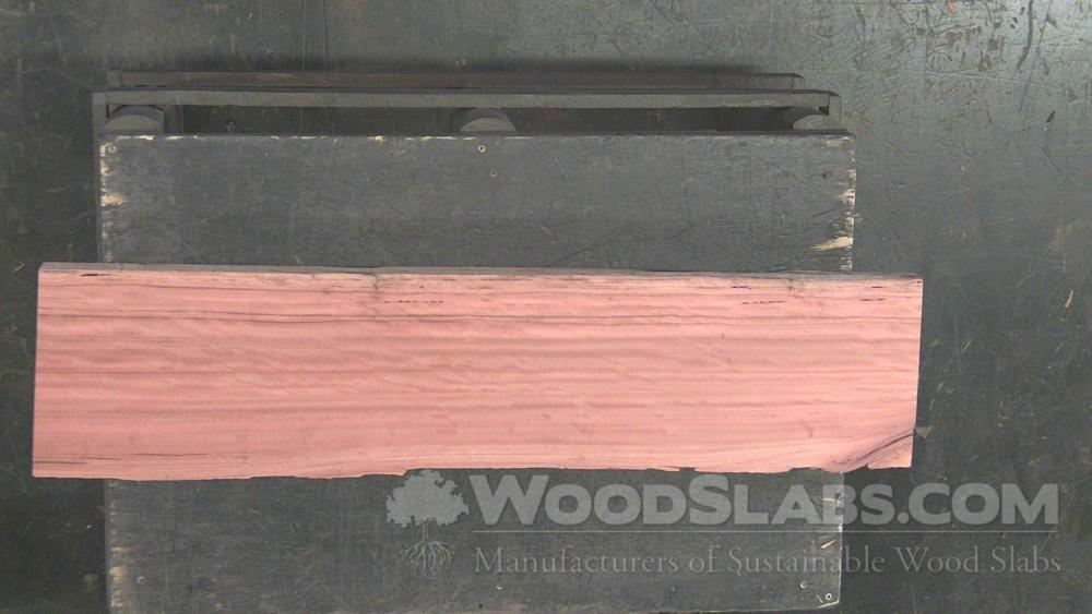 Eucalyptus Wood Slab #CWL-325-FOIZ