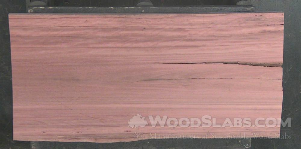 Eucalyptus Wood Slab #3B5-475-3IVE