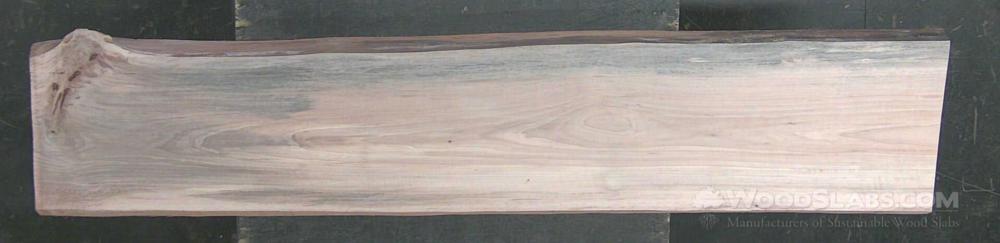 Sycamore Wood Slab #QZW-T46-60JI