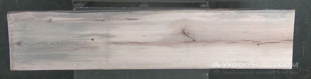 Sycamore Wood Slab #YPG-G06-ZPQS