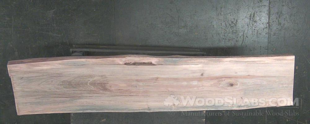 Sycamore Wood Slab #H4S-FN4-8WCS
