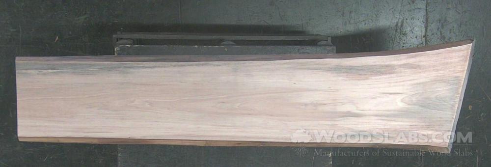 Sycamore Wood Slab #8M0-M1W-OQRK