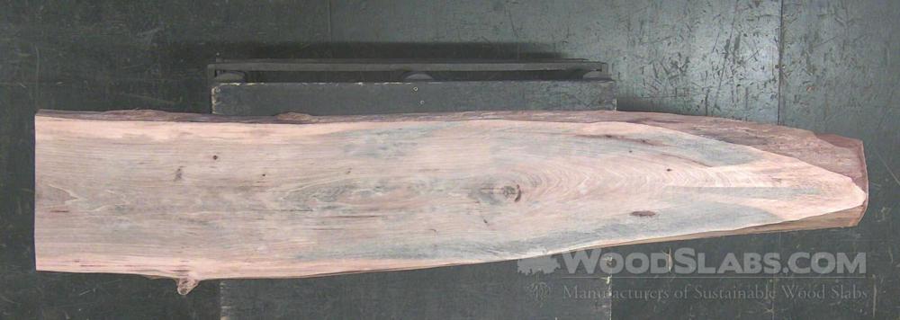 Sycamore Wood Slab #RFU-W4L-9E9O
