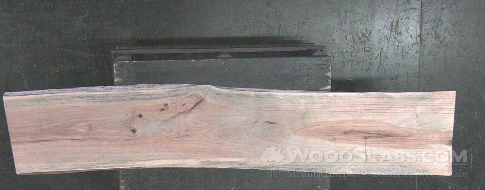 Sycamore Wood Slab #JF7-K5R-29QE