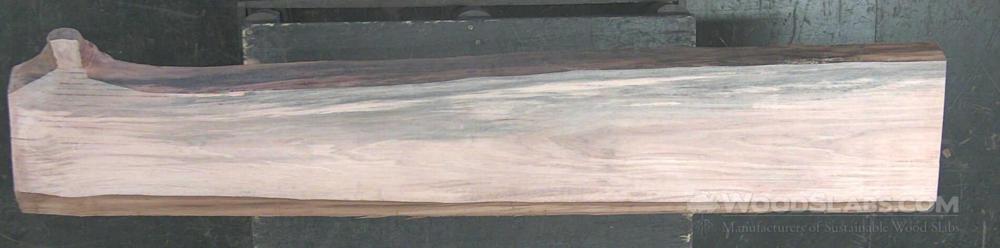 Sycamore Wood Slab #U3F-5CD-7A7X