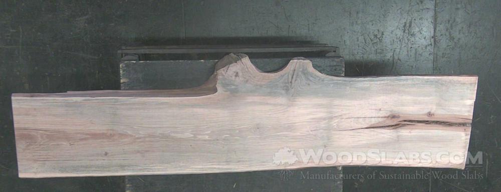 Sycamore Wood Slab #FC5-0OW-M108