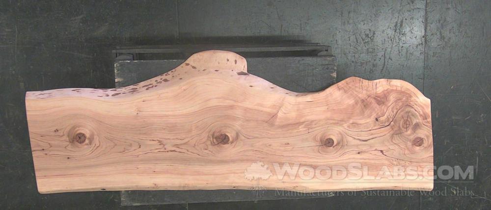 Cedar of Lebanon Wood Slab #3UV-NT3-3DSC