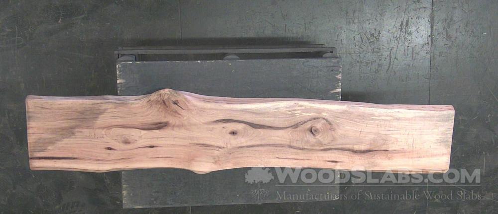 Sycamore Wood Slab #E0D-87E-6WJ7