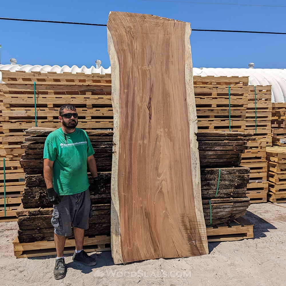 Wholesale Parota Slabs - FL03212026