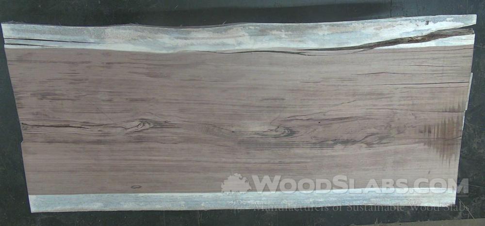 Parota Wood Slab #QGU-ZGQ-SWD9