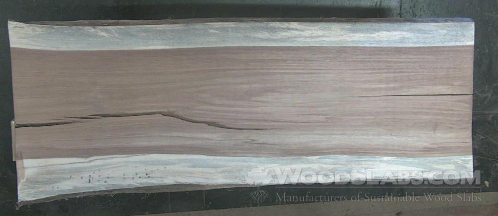 Parota Wood Slab #EK5-ETU-DVYD