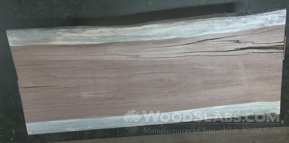 Parota Wood Slab #4YN-QE2-B91Z