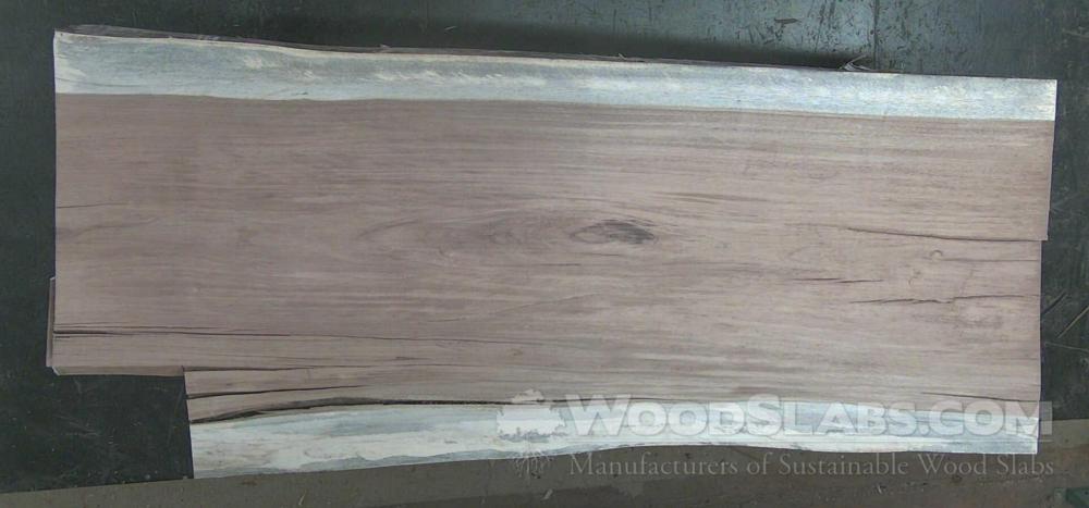 Parota Wood Slab #92P-0QP-U60K