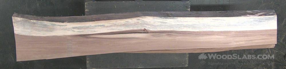 Parota Wood Slab #NSZ-8KT-JK61