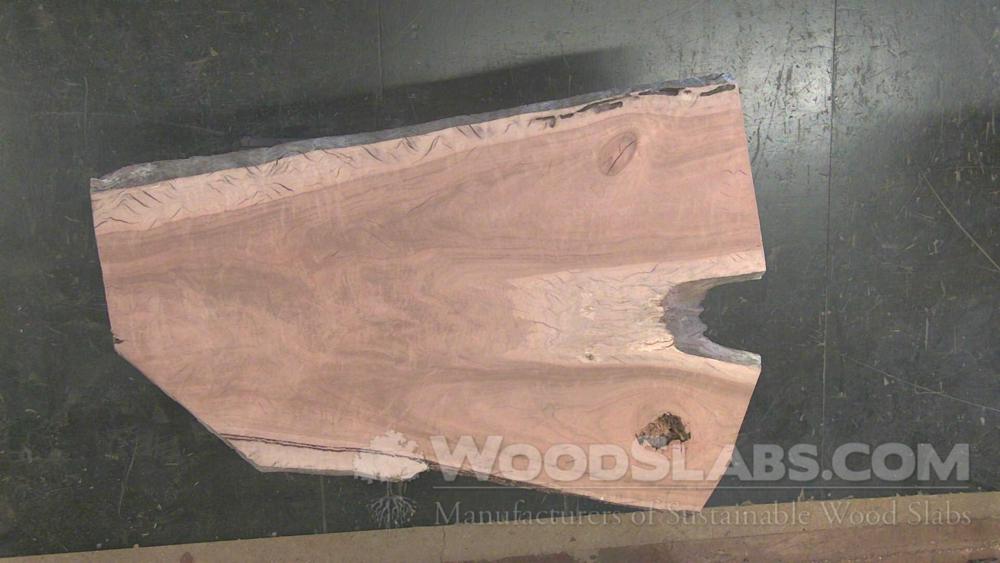 Walnut Wood Slab #D0S-NJB-R9V3