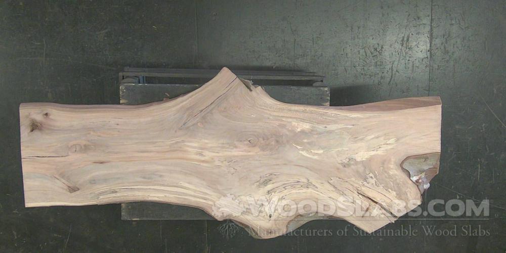 Sycamore Wood Slab #6SD-1H8-DVUA