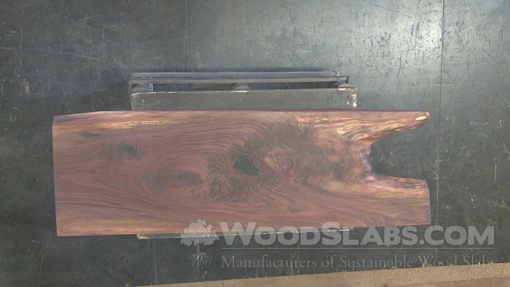 Walnut Wood Slab #XB5-WLD-0F3E