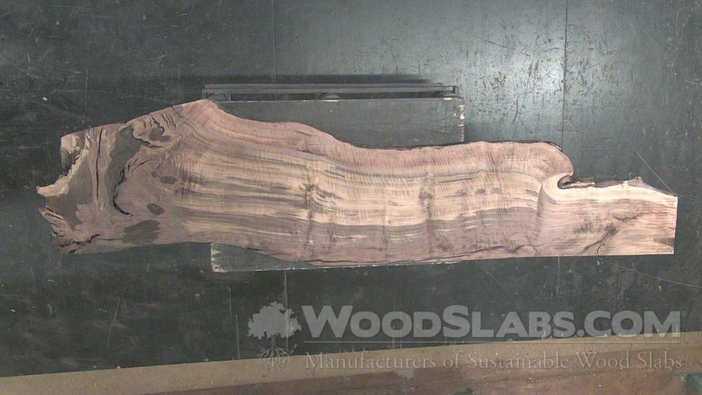 Claro Walnut Wood Slab #OTQ-666-0SPL