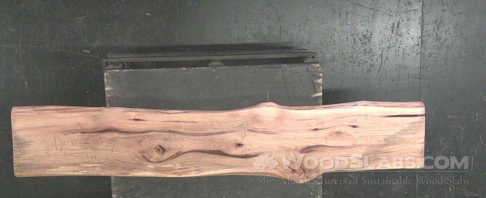 Hickory Wood Slab #F9Y-LKF-VU8K