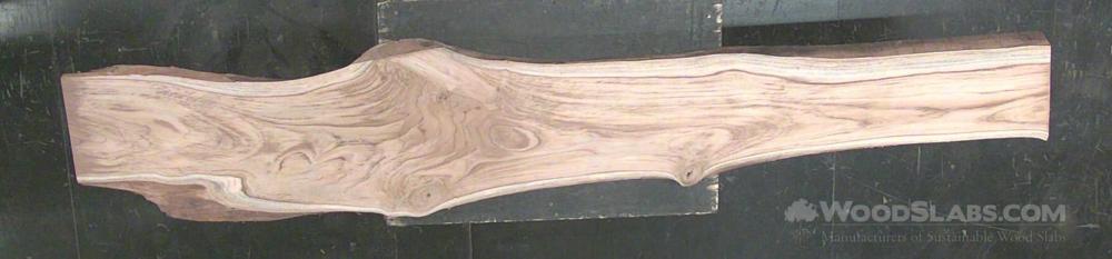 Latin Teak Wood Slab #LYD-C4H-XKOA