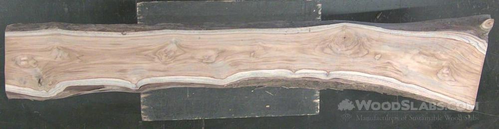 Latin Teak Wood Slab #DWJ-44B-9SXH