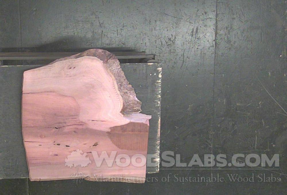 Swamp Mahogany Wood Slab #PK0-HVU-5HN7