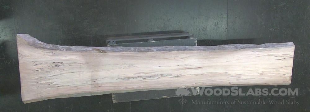 Sycamore Wood Slab #19Q-ASJ-UL6F