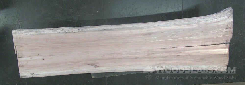 Sycamore Wood Slab #37M-M1V-9K2K