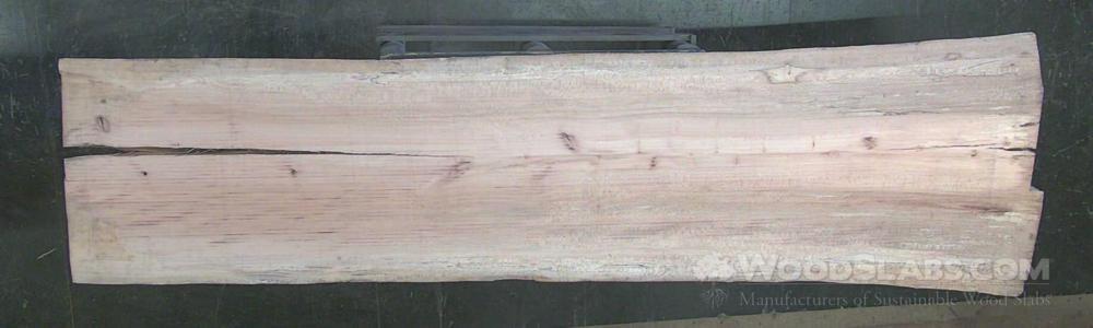 Sycamore Wood Slab #C3X-1NH-YBS8