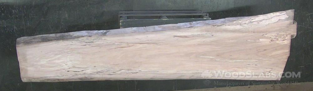 Sycamore Wood Slab #CYA-QQ4-8CO6