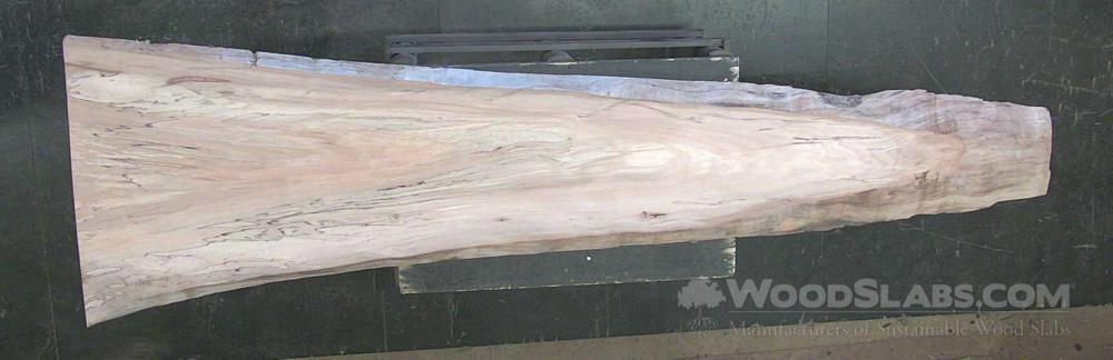 Sycamore Wood Slab #40F-AVQ-6QO8