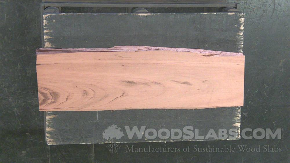 Tigerwood Wood Slab #C0B-LO3-MOBE