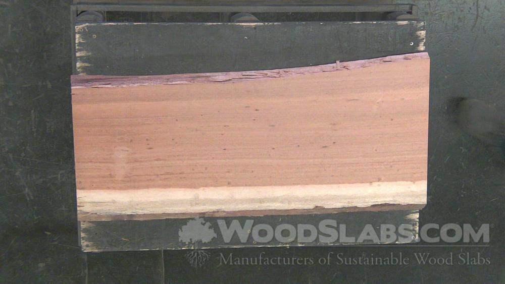 Tigerwood Wood Slab #PU0-IVM-7JR4