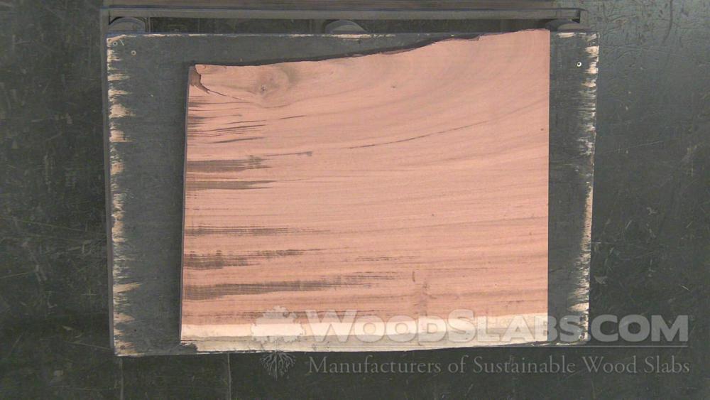 Tigerwood Wood Slab #352-N79-2Y1J