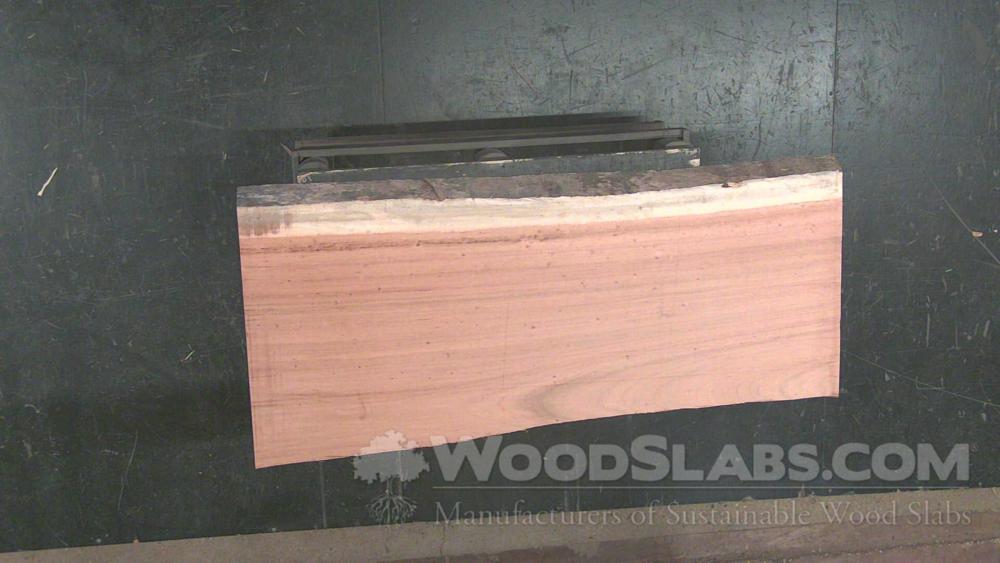 Tigerwood Wood Slab #32Y-IOQ-22Y1