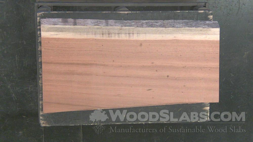 Tigerwood Wood Slab #5P5-UAU-Y5PD