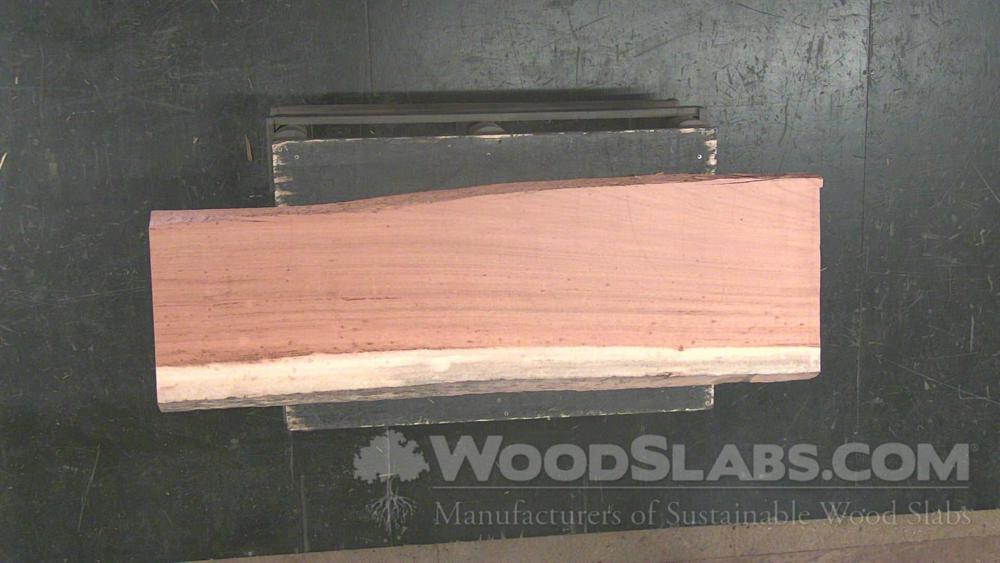 Tigerwood Wood Slab #KSY-IZ3-ILQY