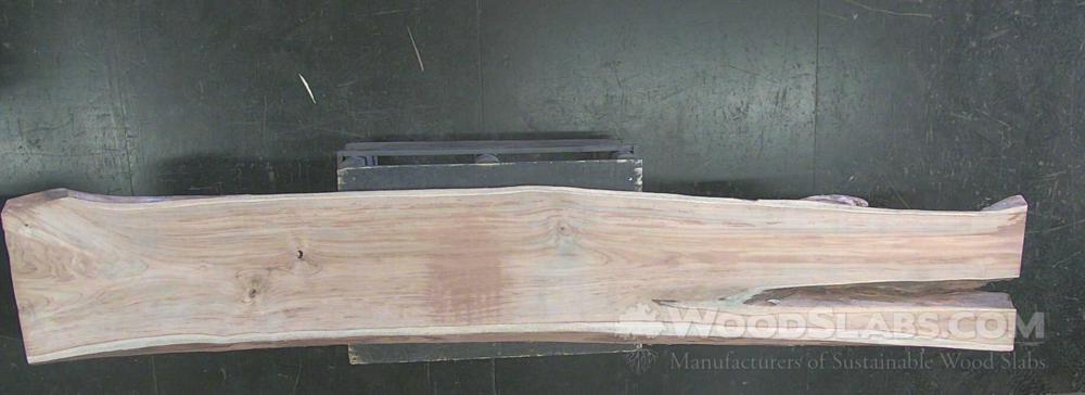 Latin Teak Wood Slab #5OE-C78-GMZC