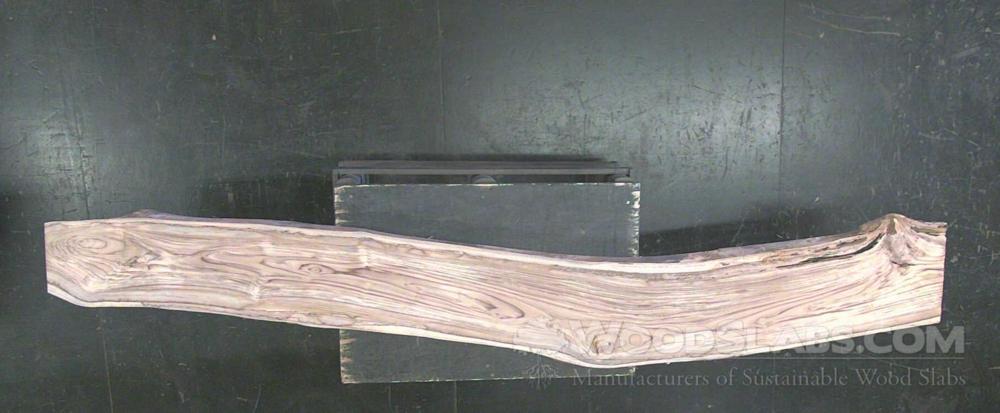 Latin Teak Wood Slab #79F-T1W-JC21