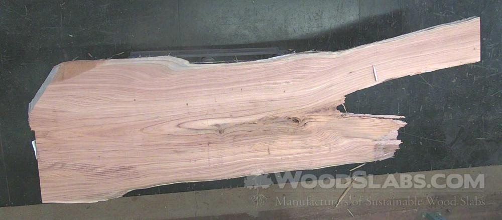 Mulberry Wood Slab #ZVC-WXM-W55U